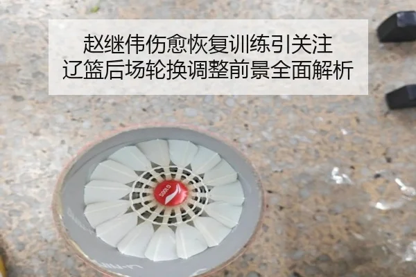 赵继伟伤愈恢复训练引关注 辽篮后场轮换调整前景全面解析