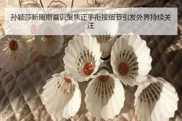 孙颖莎新周期首训聚焦正手衔接细节引发外界持续关注